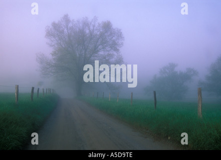 Zaun und Bäume im Nebel entlang Hyatt Lane in Tennessee Cades Cove Great Smoky Mountains National Park Stockfoto