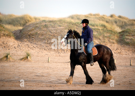 Ein Pony auf Ainsdale Strand im Norden Englands ausgeübt wird Stockfoto