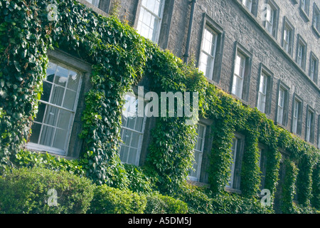 Trinity College Dublin Gebäude in Efeu bedeckt Stockfoto