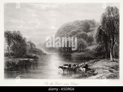 Fluss Dart Totnes Devon Süd Wald Baum Wasser Kuh Stier Rind horn schiffbaren pastoralen Land GB UK England Englisch United Kingd Stockfoto