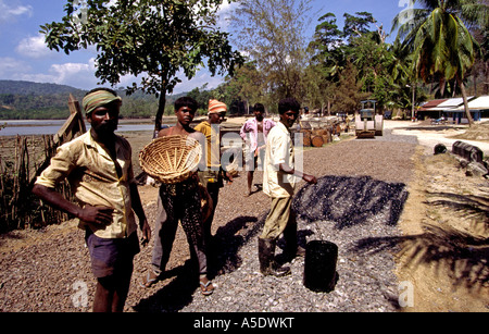 Indien South Andaman Island Chirya Tapu Arbeit Straßenbau Stockfoto