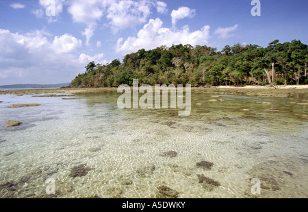 Indien South Andaman Island Chirya Tapu Wald gesäumten Strand Stockfoto