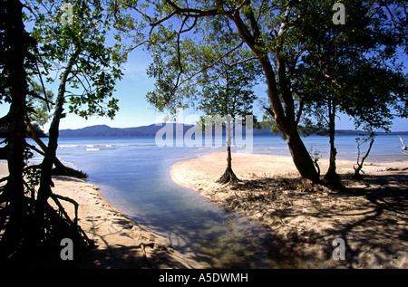 Indien South Andaman Island Chirya Tapu Strand Bucht Stockfoto