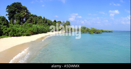 Indien-Andamanen Neil Insel Neil Kendra Strand Panorama Stockfoto