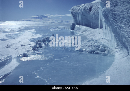 Küste der Northwest White Island und Ross-Schelfeis mit Mount Erebus in Ferne Ross Insel Antarktis Stockfoto