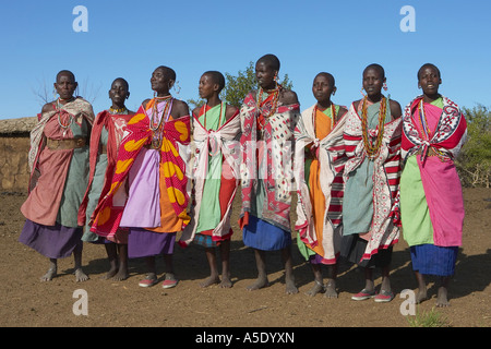 Gruppe von Massai Frauen singen und tanzen, Kenia Stockfoto