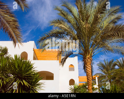 berühmte Iberotel Grand Sharm Hotel Sharm El Sheikh Ägypten Komfort erster Klasse exklusive schöne Palme blaue Himmel weiße Haus cabanas Stockfoto