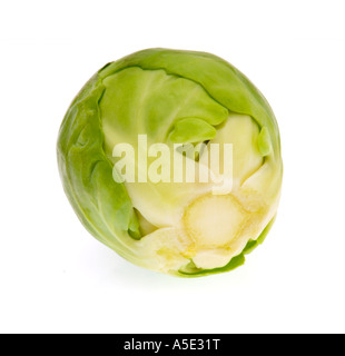 Rosenkohl sprießen Kopf 1 man einen Ausschnitt ausschneiden Stockfoto