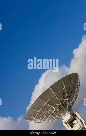 Ein Radioteleskop weist in einer frühen Morgenhimmel, wo der Mond noch vorhanden ist Stockfoto