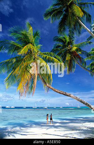 Tropenstrand Tobago Trinidad Tobago Stockfoto