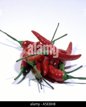 Kleine rote Chili oder Chili peppers eine würzige Küche in Zutat. Stockfoto