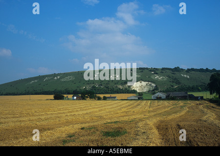 Fovant Abzeichen Regiments-Abzeichen in weißer Kreide tiefen östlich von Shaftsbury Wiltshire schneiden Stockfoto