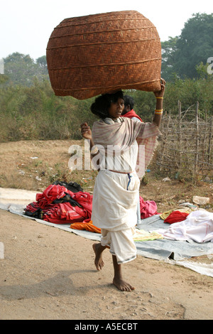Ein Dongria Kondh Stammesfrauen trägt eine sehr große Last auf dem Kopf. Orissa, Indien Stockfoto