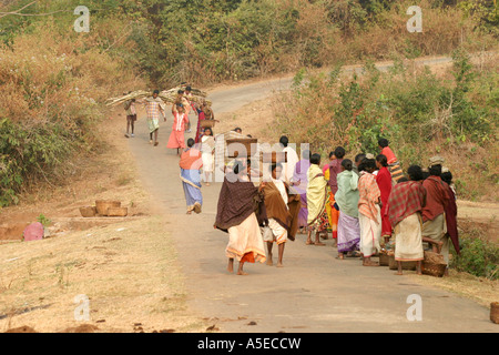 Dongria Kondh Stammes-Frauen tragen schwerer Lasten auf dem Weg zu den wöchentlichen Tausch Markt, Orissa, Indien. Stockfoto