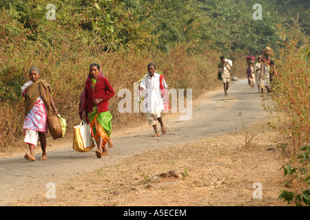 Dongria Kondh Stammes-Frauen tragen schwerer Lasten auf dem Weg zu den wöchentlichen Tausch Markt, Orissa, Indien. Stockfoto