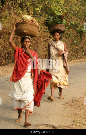 Dongria Kondh Stammes-Frauen tragen schwerer Lasten auf dem Weg zu den wöchentlichen Tausch Markt, Orissa, Indien. Stockfoto