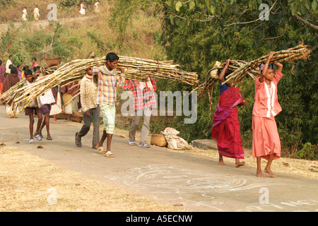 Dongria Kondh Stammes-Frauen tragen schwerer Lasten auf dem Weg zu den wöchentlichen Tausch Markt, Orissa, Indien. Stockfoto
