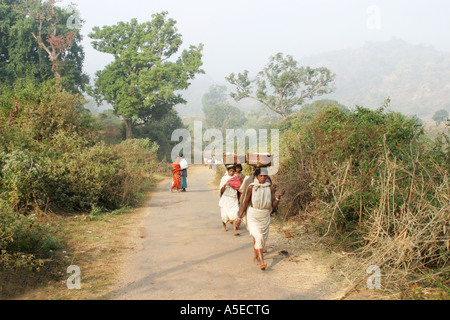 Dongria Kondh Stammes-Frauen tragen schwerer Lasten auf dem Weg zu den wöchentlichen Tausch Markt, Orissa, Indien. Stockfoto