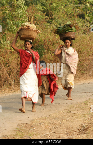 Dongria Kondh Stammes-Frauen tragen schwerer Lasten auf dem Weg zu den wöchentlichen Tausch Markt, Orissa, Indien. Stockfoto