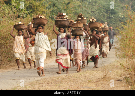 Dongria Kondh Stammes-Frauen tragen schwerer Lasten auf dem Weg zu den wöchentlichen Tausch Markt, Orissa, Indien. Stockfoto