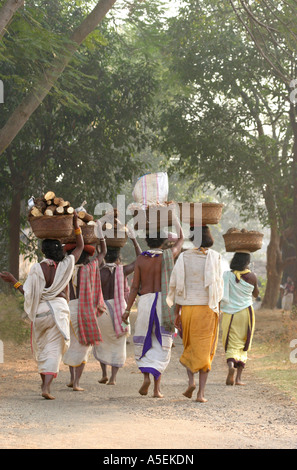 Dongria Kondh Frauen Powerwalk barfuß 25kms zum und vom Wochenmarkt Stammes-Orissa, Indien Stockfoto
