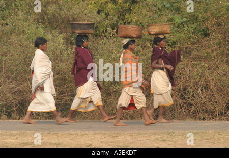 Dongria Kondh Frauen Powerwalk barfuß 25kms zum und vom Wochenmarkt Stammes-Orissa, Indien Stockfoto