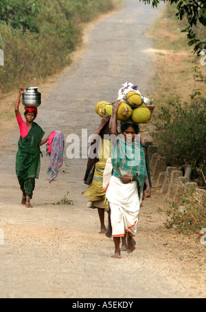Dongria Kondh Frauen Powerwalk barfuß 25kms zum und vom Wochenmarkt Stammes-Orissa, Indien Stockfoto