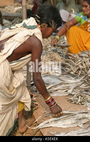 Dongria Kondh Indianerin in Orissa, Indien tragen eine Masse von modernen Masse Haarspangen mit traditionellen Noserings und Ohrringe Stockfoto