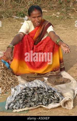 Dongria Kondh Indianerin in Orissa, Indien tragen eine Masse von modernen Masse Haarspangen mit traditionellen Noserings und Ohrringe Stockfoto