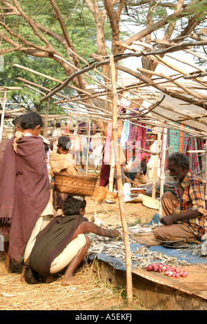 Dongria Kondh Frauen auf ihre Stammes-Wochenmarkt Orissa, Indien Stockfoto