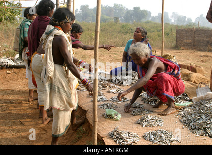Dongria Kondh Frauen auf ihre Stammes-Wochenmarkt Orissa, Indien Stockfoto