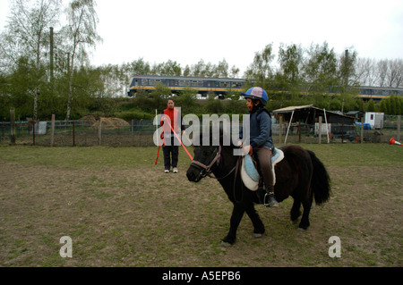 schwarze Mädchen mit Shetland-Ponys, die mit ihrer Mutter in einem Feld fahren zu lernen Stockfoto