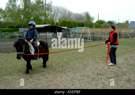 schwarze Mädchen mit Shetland-Ponys, die mit ihrer Mutter in einem Feld fahren zu lernen Stockfoto