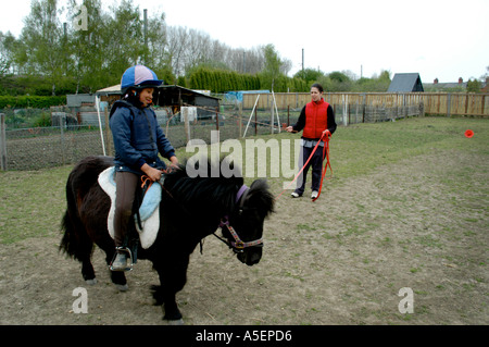 schwarze Mädchen mit Shetland-Ponys, die mit ihrer Mutter in einem Feld fahren zu lernen Stockfoto