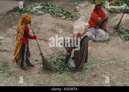 Harar, Äthiopien, Frauen aufräumen trocknen Blätter nach dem Verkauf Bündel von QBI auf dem Markt Stockfoto