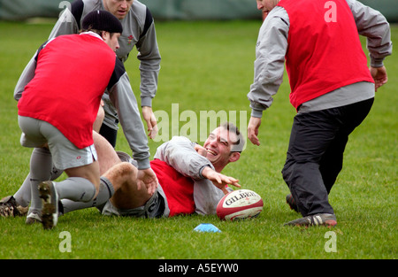 Wales Rugby-Team-Training bei Sophia Gärten Cardiff South Wales UK Stockfoto