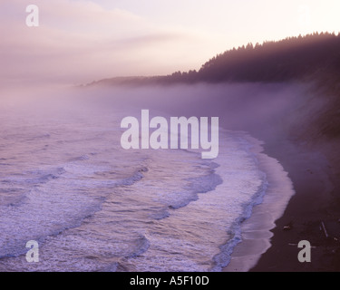 Misty Dawn am Pazifischen Ozean Stockfoto