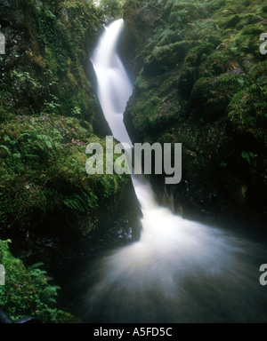 Aira Force Wasserfall Gowbarrow Park in der Nähe von Ulswater Lake District National Park Cumbria England Stockfoto