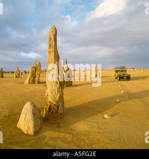 Die Pinnacles im frühen Abendlicht, Nambung National Park, Western Australia, Australien Stockfoto