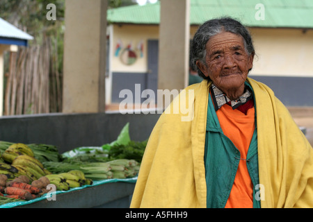 Ältere Frau verkaufen frisches Obst und Gemüse auf einem kleinen Markt in Andasibe, Madagaskar Stockfoto