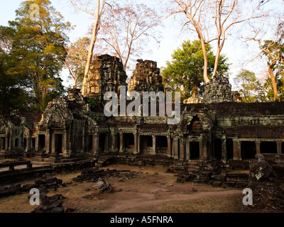 Ta Prohm Tempel in der Nähe von Angkor Watt Kambodscha Stockfoto