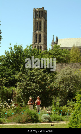 limogesMBF1762 Limoges Haute Vienne Limousin Frankreich Frauen im Jardin Biologique in St Etienne Kathedrale in Limoges Stockfoto