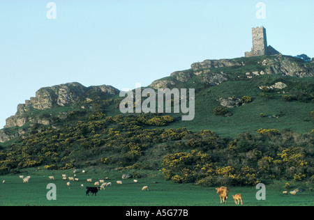 Brentor, St. Michael's de Rupe Church, Devon England, Vereinigtes Königreich HOMER SYKES Stockfoto