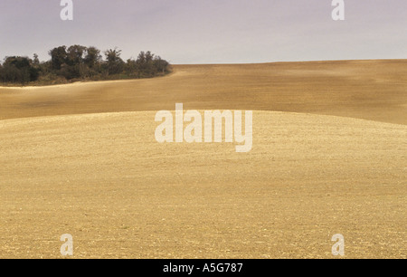 Prairie Farming East Sussex England rodete Hecken riesige unnatürliche Felder 1992, 1990er Jahre HOMER SYKES Stockfoto