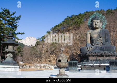 Riesige Buddha Statue Seoraksan Nationalpark-Südkorea Stockfoto