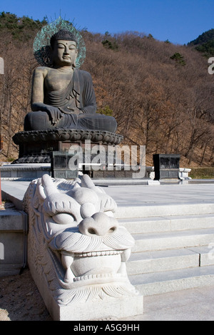 Riesige Buddha Statue Seoraksan Nationalpark-Südkorea Stockfoto