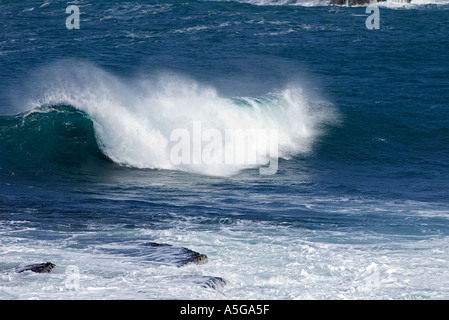 Dh Nordküste BIRSAY ORKNEY Surf Wellen am Ufer krachen Walzen brechen Stockfoto