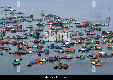 Schwimmende Dorf Catba Insel Halong Bucht Vietnam Stockfoto