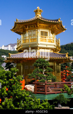 Golden Pavilion Nan Lian Garden Chi Lin Nunnery Hongkong Stockfoto