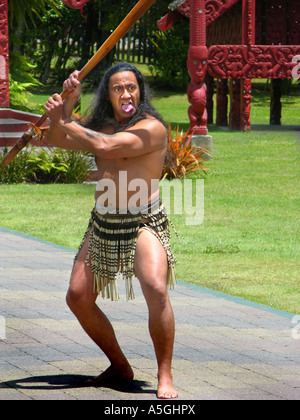 bedrohliche Maorian Mann, Neuseeland Stockfoto